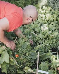 Pin On Le Potager