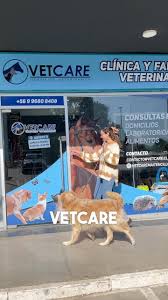 Vetcare Maitencillo