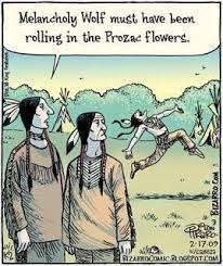Pin By Cheryl Davis On Bizarro Comics Cartoon Jokes Funny Cartoons Native American Humor