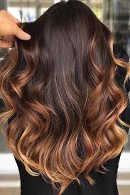 Par exemple, si vous êtres brune et que vous désirez une couleur claire sans radicalement changer de tête, l'ombré hair est idéal : Le Ombre Hair Sur Cheveux Bruns 30 Photos Inspiration