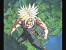 Ponytail Trunks Long Hair