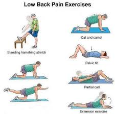 Pin On Back Exercises For Pain