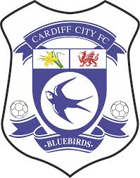 Get the inside scoop on jobs, salaries, top office locations, and ceo insights. Cardiff City F C Png Transparent Images Png All