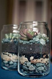 Einzigartige Und Kreative Sukkulenten Aus Glas Indoor Garden Ideas Frische Top 10 Succule Diygardeneasy Live Succulents In Glass Succulents Mason Jar Succulents