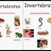 Learn vocabulary, terms and more with flashcards, games and. 1