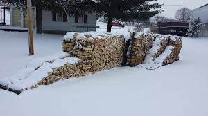 Tulip Poplar Firewood Hoarders Club