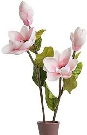 Blush magnolias with pink centers adorn this natural looking brown stem. Amazon Com Floral Kingdom 25 Real Touch Artificial Magnolia Flowers For Foral Arrangements Gift Wrapping Bouquets Home Office Decor Pack Of 2 Blush Pink Home Kitchen