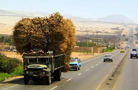 Pan American Highway Trujillo Peru America Del Sur Oceano Pacifico Fotografia Urbana