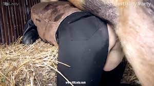 سكس خنزير مع بنات الأرشيف - سكس