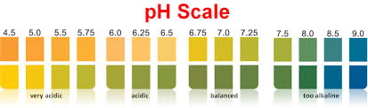 Gastric Juice Ph Test Strip 0 14 Buy Ph Test Strip 0 14 Ph Strip 0 14 Ph 0 14 Product On Alibaba Com