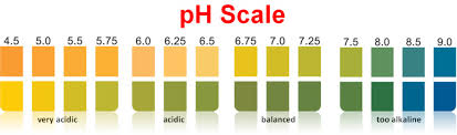 aa grade ph test strips 2 3 4 color chart 0 14 4 5 9 0 4 0 8 5 buy ph test ph test strips ph paper 0 14 product on alibaba com