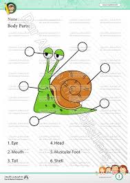 Well you're in luck, because here they come. Snail Body Parts Diagram Wiring Diagram Data