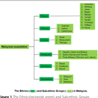 10 years after the maintenance. The First Malay Database Toward T Preview Related Info Mendeley