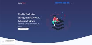 Últimas noticias, fotos, y videos de twitter viral las encuentras en depor.pe. 25 Best Twitter Followers Apps 2021 Earthweb