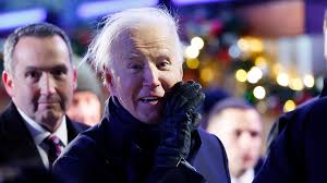 Image result for Bidens baumii