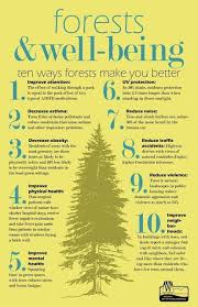 The Garden Plot 10 Ways Forests Make You Better Infographic Forest Bathing Nature Quotes Forest School