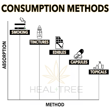 Cbd Consumption Methods Heal Tree Cbd