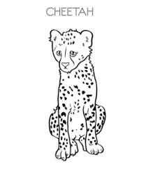 Now draw 2 slanted ovals on the bottom of the number '8' … this will be the cheetah's thighs. Cheetah Coloring Pages Playing Learning
