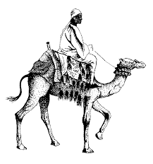This guide of how to draw a camel step by step is easy and quick. Camel With Rider By Silvermoonlight217 On Deviantart