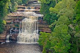 For such a trip, it'. Sub Tours Maliau Basin Amazing Borneo Tours