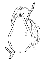 The graphic is editable as needed thanks for visit my store and purchase don't forget to check my other graphic. Online Coloring Pages Coloring Page Delicious Pear Pear Download Print Coloring Page