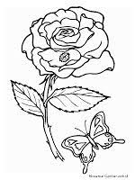 15 gambar sketsa bunga dari pensil yang mudah dibuat. Nur Azizatul Alimollamohammad27 Profil Pinterest