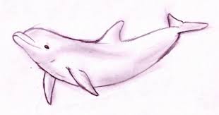 Pin On Things To Draw