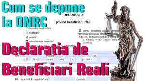 Depunere declarație beneficiar real online. Cum Se Depune Declaratia De Beneficiari Reali La Onrc Tutorial Pas Cu Pas Youtube