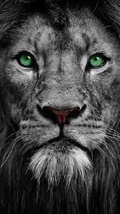 So here we bring 8k wallpaper for mobiles and android. Hd Desktop Mobile Wallpapers 1080p 4k 5k 8k Wallpapers Download Wallpaperkiss