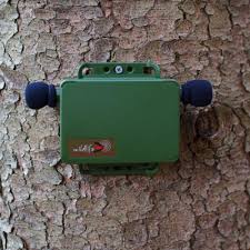 Coqui Acoustic Monitoring Program — Maui Invasive Species Committee (MISC)