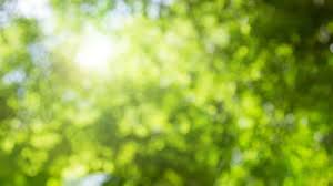 Nature Images Pictures Photos Nature Photographs Shutterstock