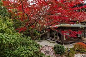 Japanese gardens (日本庭園, nihon teien) are traditional gardens whose designs are accompanied by japanese aesthetics and philosophical ideas, avoid artificial ornamentation, and highlight the natural landscape. Traditional Japanese Style 16tatami Deluxe Garden Room Rooms With A Onsen Style Garden Bathroom Picture Of Kyoto Nanzenji Garden Ryokan Yachiyo Tripadvisor