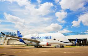 Read the web story for details on the belugaxl in service. Wallpaper The Plane The Plane Cargo Airbus Beluga A300 Airbus Beluga Super Transporter Beluga Xl Cargo Airbus Airbus Beluga Xl Airbus Xl Airbus A300 By Jb Accariez Images For Desktop Section Aviaciya