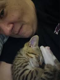 Lost yellow kitten in Madison County