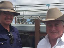Harold Curry and Co's Tenterfield weaner sale