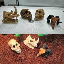 Aquarium Artifical Rhino Sheepshead Resin Skull Terrarium Decoration Fish Tank Simulation In 2020 Terrarium Decor Fish Tank Aquarium Decorations