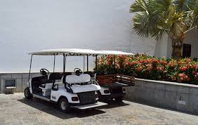 4 Reasons Why Your Yamaha Golf Cart Is Not Charging Golf Storage Ideas