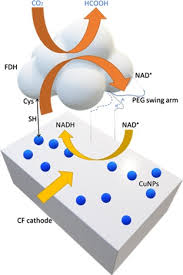 epub transformasi nasional 2050 tn50. Greenhouse Gases Utilization A Review Sciencedirect