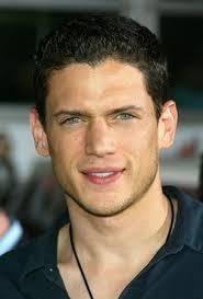 Wentworth Miller Wife: Marriage and Past Affairs -