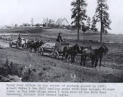 Ott Historical Photograph Collection