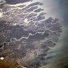 A river delta is formed at the mouth of a river where the river deposits the sediment load carried by it and drains into a slower moving or static body of. Indus River Delta Wikipedia