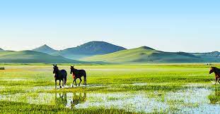 蒙古旅遊：精選內蒙古團體旅遊行程推薦| 東南旅遊