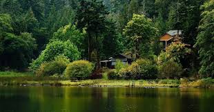 You Can Download Them Free Summer Nature Background Desktop Background Used On Facebook Tu Nature Desktop Nature Desktop Wallpaper Desktop Background Nature