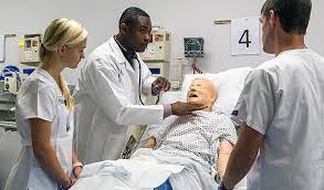 Bsn: Bachelor Of Science In Nursing | University Of Maryland School Of  Nursing