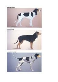 Image result for jurský honič