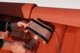 Où trouver l'offre traitement antimousse au meilleur prix ? Bande De Toit Anti Mousse Moosfree Website Debrunner Acifer