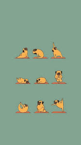 We did not find results for: Best Funny Iphone Hd Wallpapers Ilikewallpaper