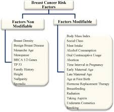 Risk factors for breast cancer a risk factor is anything that increases your chances of getting a disease, such as cancer. A Fuzzy Information Based Approach For Breast Cancer Risk Factors Assessment Sciencedirect