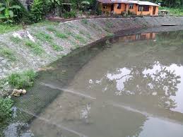 For many societies around the world, rivers are seen as the lifeblood of a community: Project River Of Life Sungai Nadi Kehidupan Prof Ir Dr Mohd Fadhil Bin Md Din