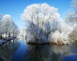 Maybe you would like to learn more about one of these? Hd Wallpaper Winter Wonderland White Flowering Trees Seasons Blue Travel Wallpaper Flare